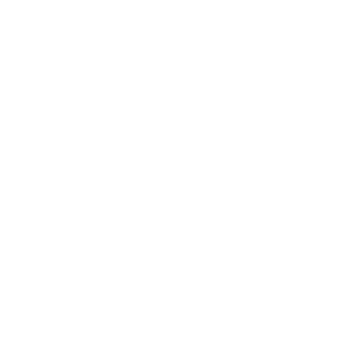 Xicana Boutique