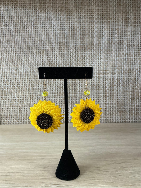 Aretes de Palma